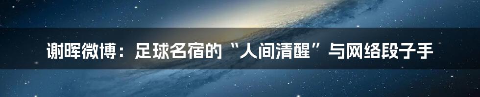 谢晖微博:足球名宿的“人间清醒”与网络段子手