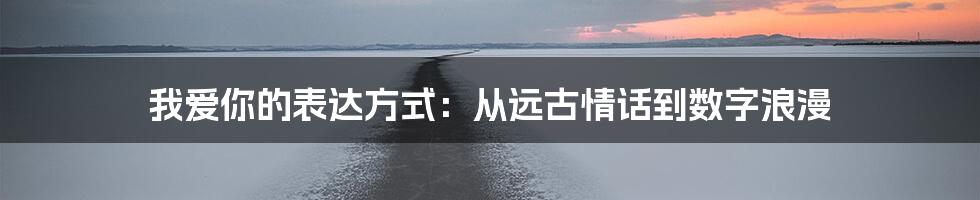 我爱你的表达方式：从远古情话到数字浪漫