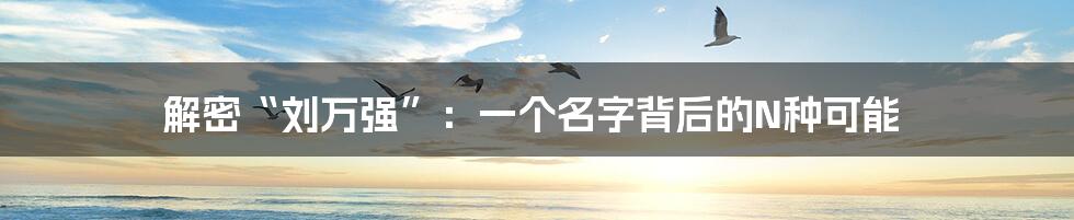 解密“刘万强”:一个名字背后的N种可能