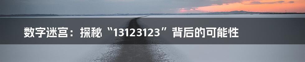 数字迷宫：探秘“13123123”背后的可能性