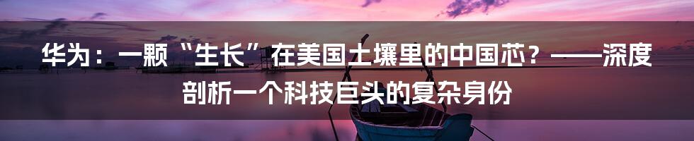 华为：一颗“生长”在美国土壤里的中国芯？——深度剖析一个科技巨头的复杂身份