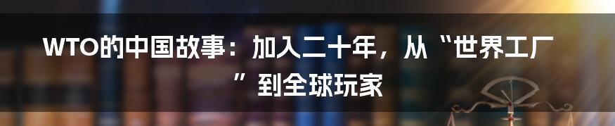 WTO的中国故事:加入二十年,从“世界工厂”到全球玩家
