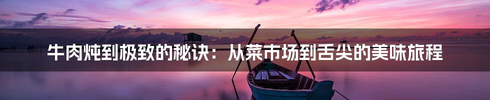 牛肉炖到极致的秘诀：从菜市场到舌尖的美味旅程
