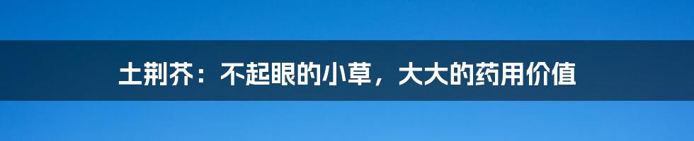 土荆芥:不起眼的小草,大大的药用价值