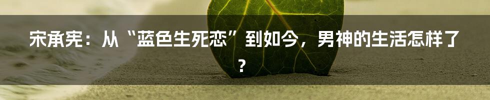 宋承宪:从“蓝色生死恋”到如今,男神的生活怎样了?