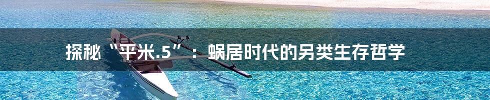 探秘“平米.5”:蜗居时代的另类生存哲学