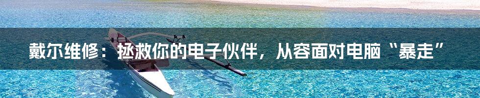戴尔维修：拯救你的电子伙伴，从容面对电脑“暴走”