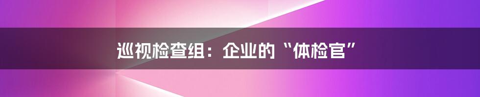 巡视检查组:企业的“体检官”