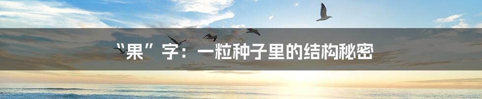 “果”字：一粒种子里的结构秘密