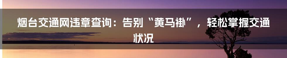 烟台交通网违章查询:告别“黄马褂”,轻松掌握交通状况