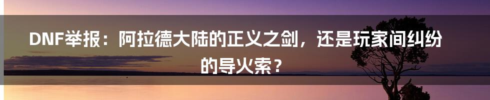 DNF举报：阿拉德大陆的正义之剑，还是玩家间纠纷的导火索？