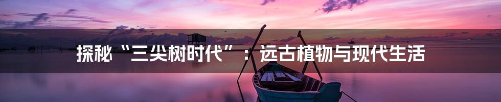 探秘“三尖树时代”：远古植物与现代生活
