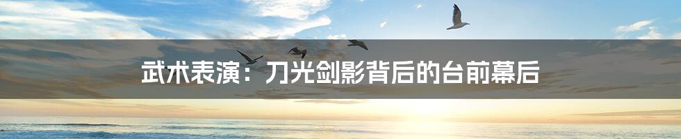 武术表演:刀光剑影背后的台前幕后