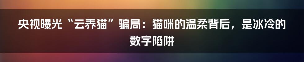 央视曝光“云养猫”骗局：猫咪的温柔背后，是冰冷的数字陷阱