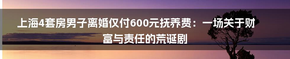 上海4套房男子离婚仅付600元抚养费:一场关于财富与责任的荒诞剧