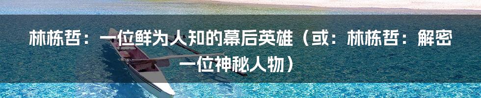 林栋哲：一位鲜为人知的幕后英雄（或：林栋哲：解密一位神秘人物）