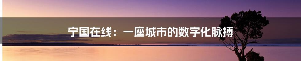 宁国在线：一座城市的数字化脉搏