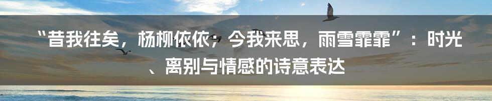 “昔我往矣,杨柳依依;今我来思,雨雪霏霏”:时光、离别与情感的诗意表达