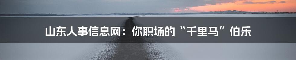 山东人事信息网：你职场的“千里马”伯乐