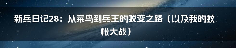新兵日记28:从菜鸟到兵王的蜕变之路(以及我的蚊帐大战)