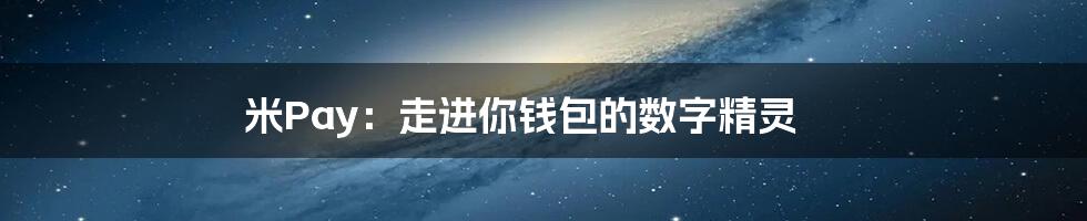 米Pay：走进你钱包的数字精灵