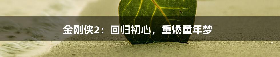 金刚侠2:回归初心,重燃童年梦