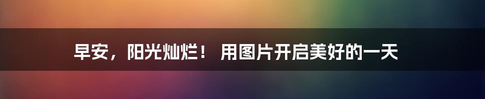 早安，阳光灿烂！ 用图片开启美好的一天