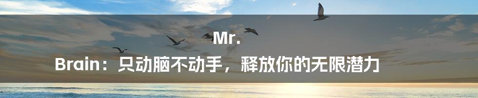 Mr. Brain：只动脑不动手，释放你的无限潜力