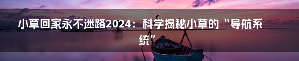 小草回家永不迷路2024：科学揭秘小草的“导航系统”