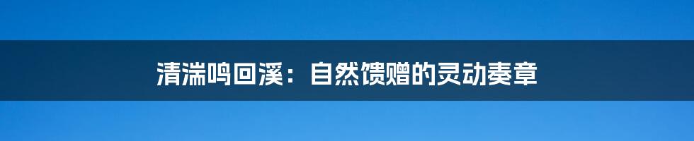 清湍鸣回溪：自然馈赠的灵动奏章