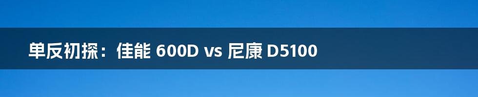 单反初探:佳能 600D vs 尼康 D5100