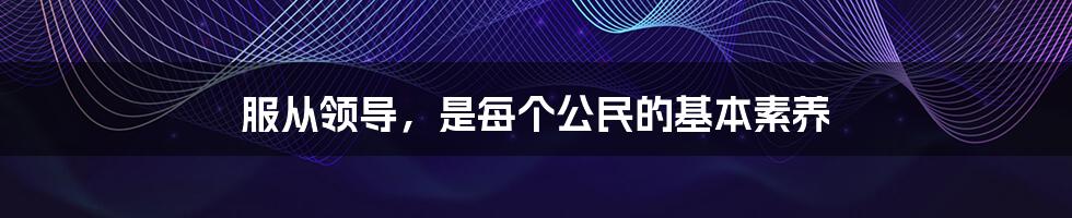 服从领导，是每个公民的基本素养