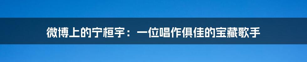 微博上的宁桓宇：一位唱作俱佳的宝藏歌手