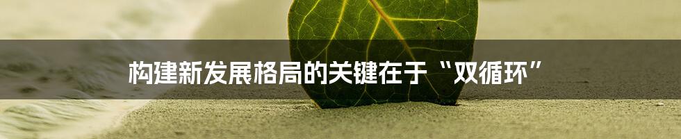 构建新发展格局的关键在于“双循环”