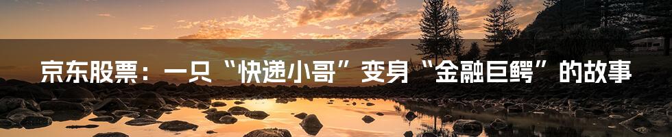 京东股票：一只“快递小哥”变身“金融巨鳄”的故事