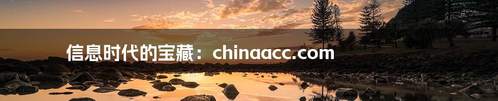 信息时代的宝藏:chinaacc.com