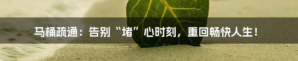马桶疏通:告别“堵”心时刻,重回畅快人生!