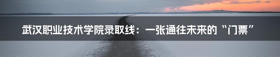 武汉职业技术学院录取线:一张通往未来的“门票”