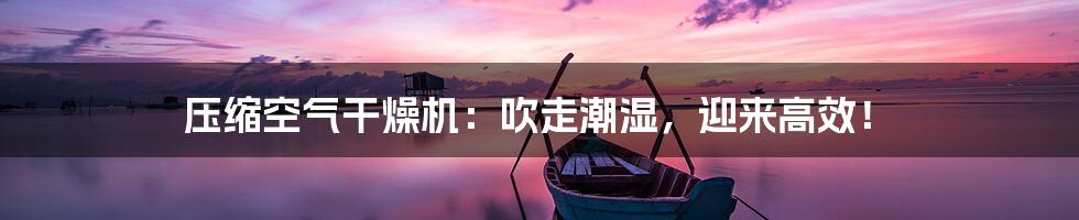 压缩空气干燥机：吹走潮湿，迎来高效！
