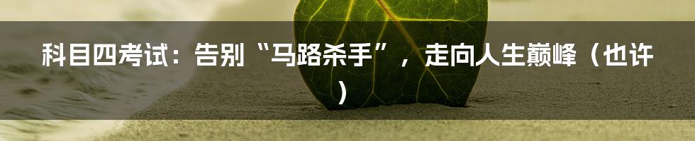 科目四考试：告别“马路杀手”，走向人生巅峰（也许）