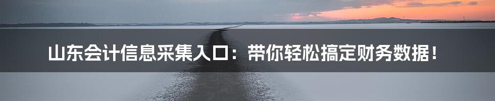 山东会计信息采集入口：带你轻松搞定财务数据！