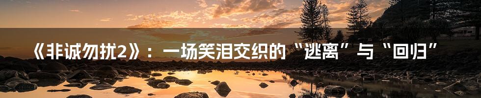 《非诚勿扰2》:一场笑泪交织的“逃离”与“回归”
