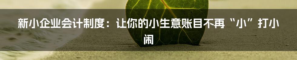 新小企业会计制度:让你的小生意账目不再“小”打小闹