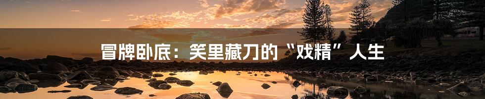 冒牌卧底：笑里藏刀的“戏精”人生