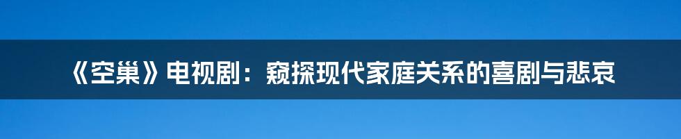《空巢》电视剧：窥探现代家庭关系的喜剧与悲哀