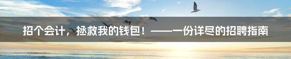 招个会计,拯救我的钱包!——一份详尽的招聘指南