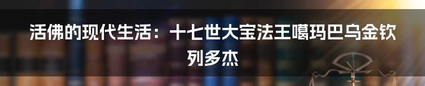 活佛的现代生活：十七世大宝法王噶玛巴乌金钦列多杰