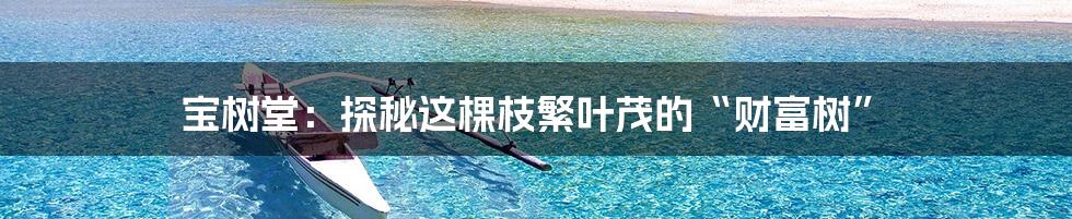 宝树堂:探秘这棵枝繁叶茂的“财富树”