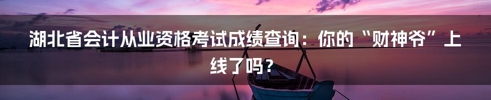 湖北省会计从业资格考试成绩查询:你的“财神爷”上线了吗?