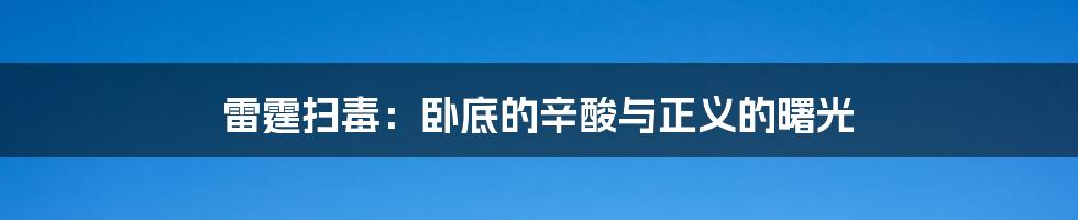 雷霆扫毒：卧底的辛酸与正义的曙光